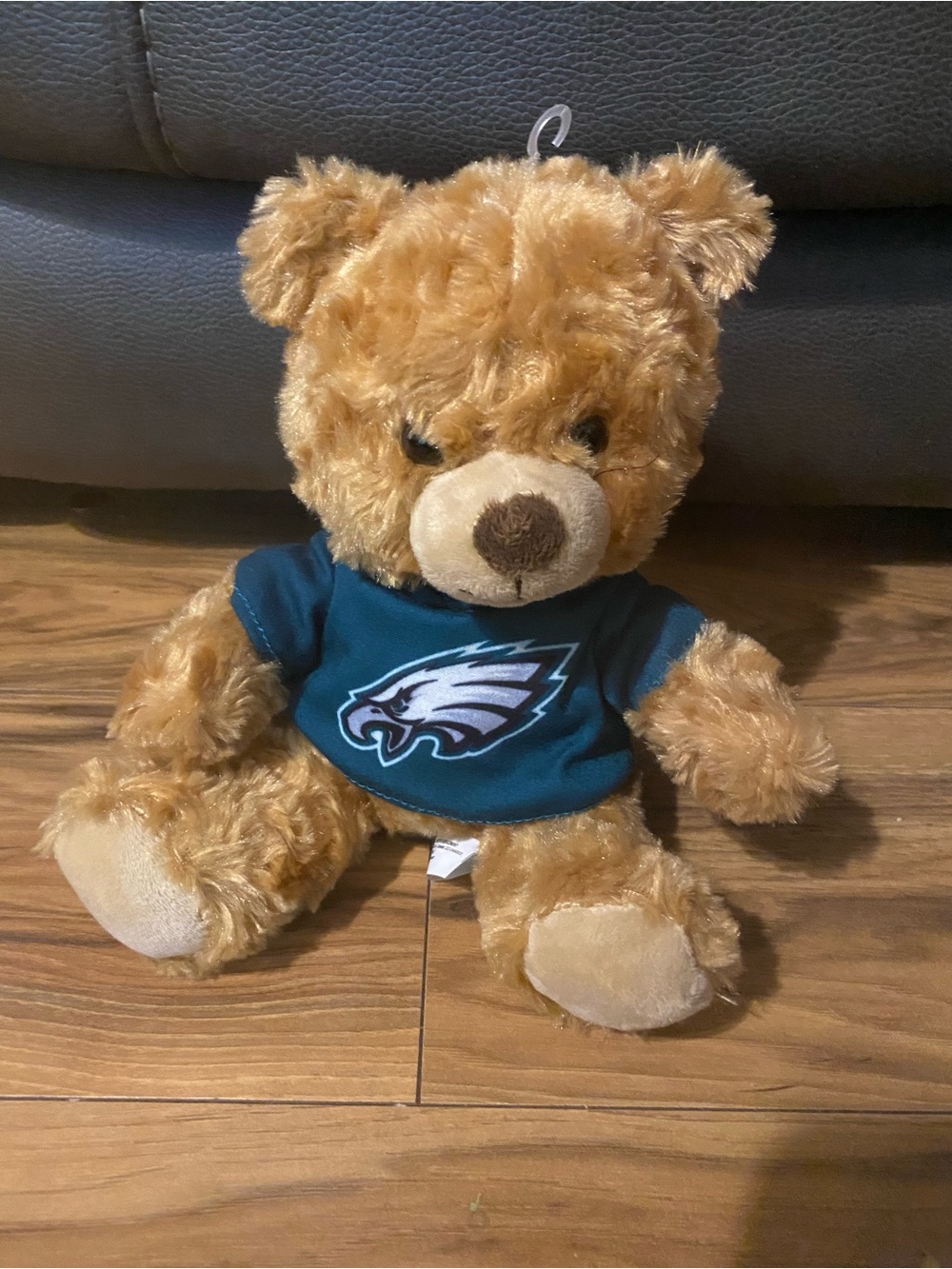 Plush Teddy Bear in Brown with Teal Eagles Shirt - Official Team Gift